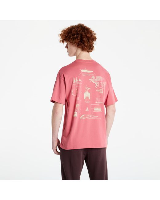 Nike M NRG Tee Pegasus Pink für Herren | Lyst AT