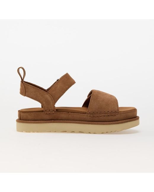Ugg Brown Sneakers W Goldenstar