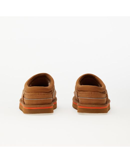 orange tasman uggs