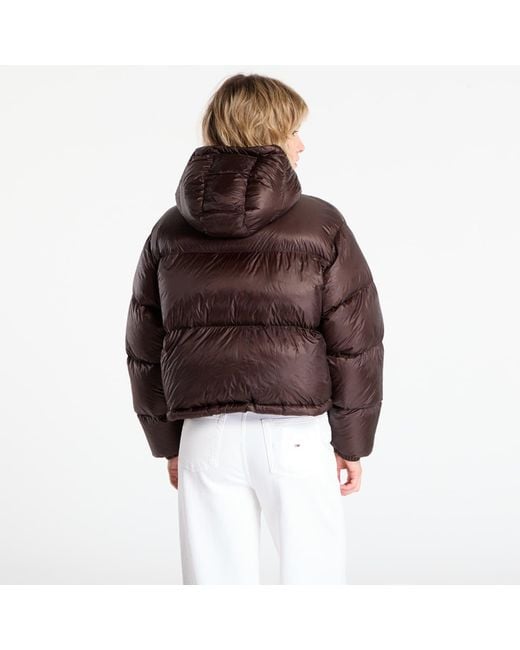 Tommy Hilfiger Brown Jacket Super Light Hw Down Relax Jacket