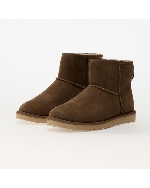 Ugg - Man - Brown - Sneaker