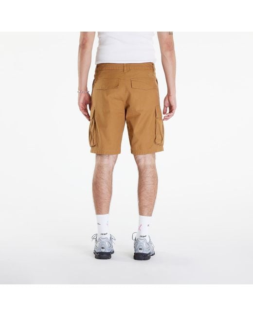 The North Face Brown Anticline Cargo Short for men