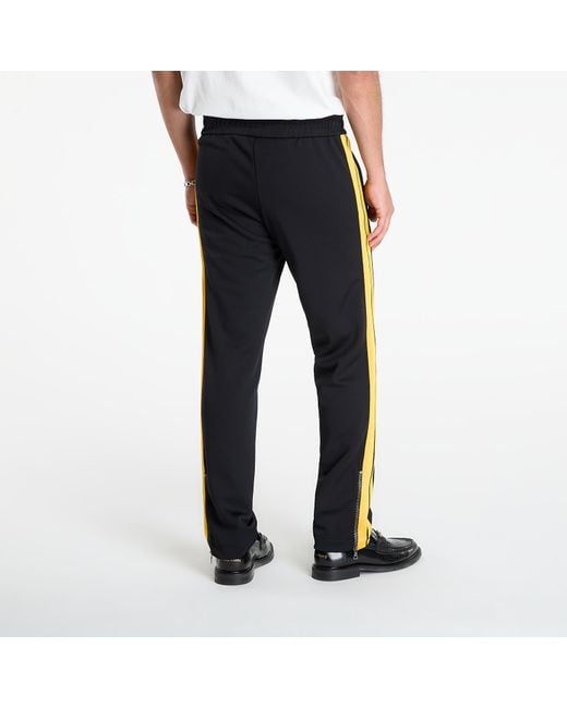 Palm Angels Blue Pants Classic Logo Color Track Pant for men