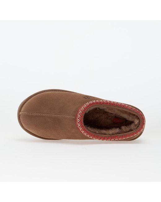 Ugg Brown Sneakers W Tasman Ii