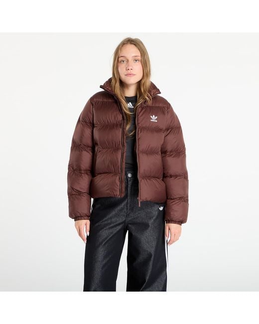Adidas Originals Red Jacket Adidas Adicolor Short Puffer Jacket