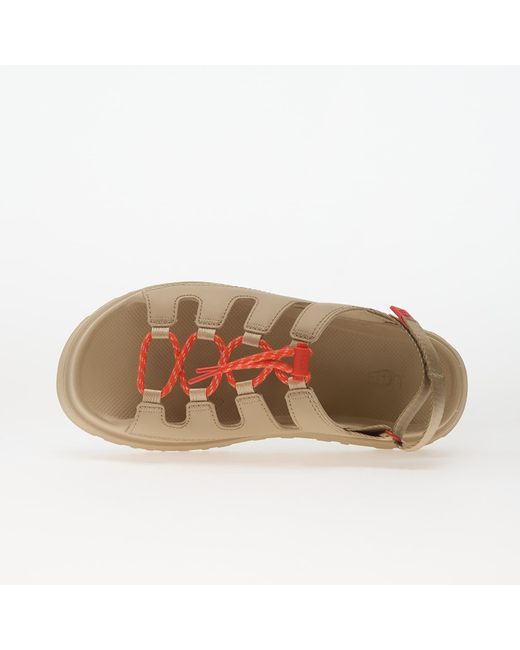 Ugg Brown Sneakers W Goldenglow Toggle