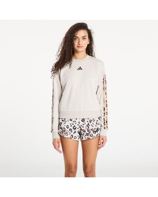 Stripes Adidas Leopard Print Jumper Adidas Originals All Over