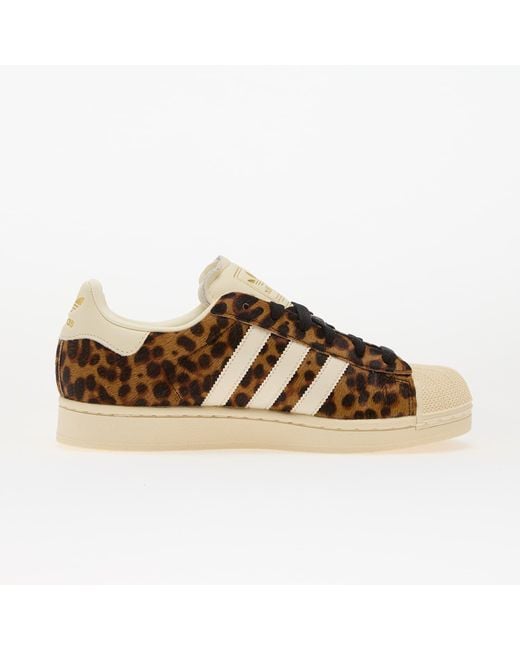 Adidas Originals Brown Sneakers Adidas Superstar Ii W Supplier Colour/ Crew/ Metallic Eur