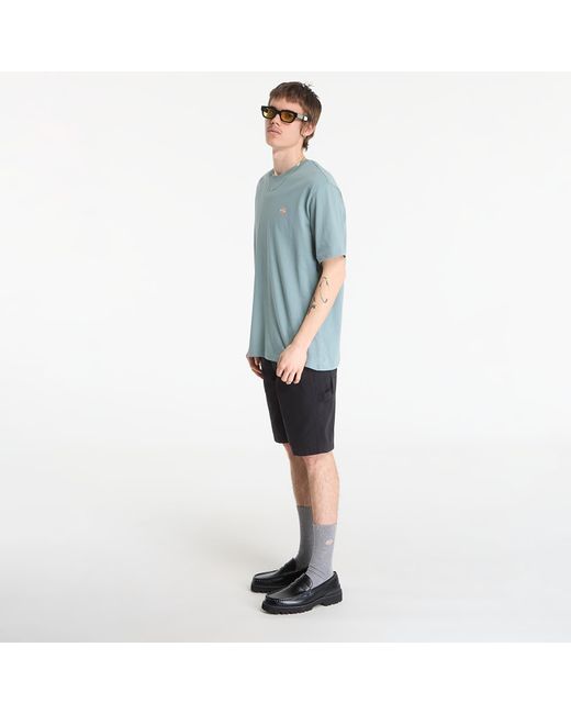 Dickies T-Shirt Mapleton Ss Tee in het Blue voor heren