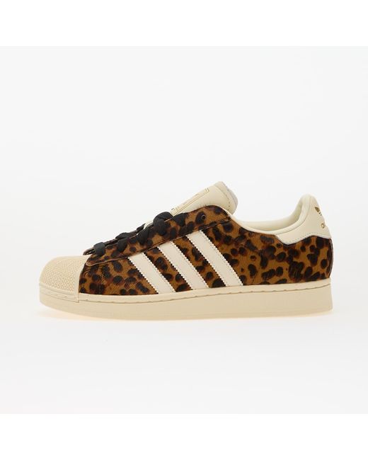 Adidas Originals Brown Sneakers Adidas Superstar Ii W Supplier Colour/ Crew/ Metallic Eur