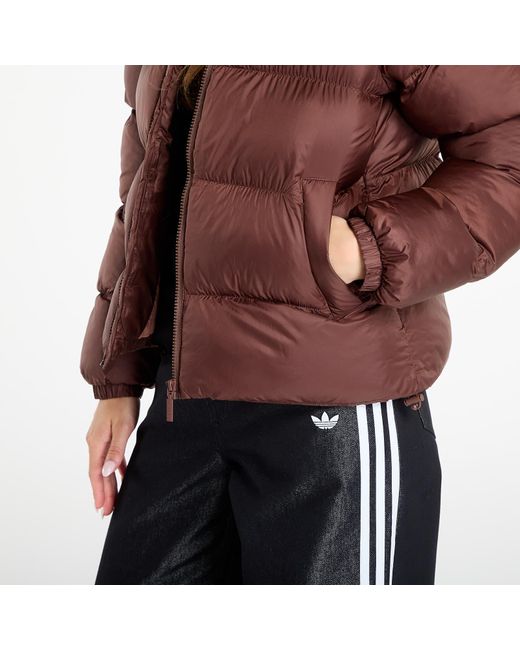 Adidas Originals Red Jacket Adidas Adicolor Short Puffer Jacket