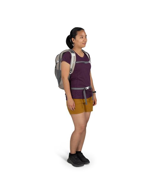 Osprey Blue Daylite Plus