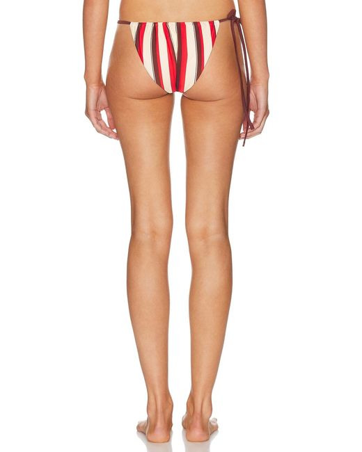 Sir Multicolor Alva String Bikini Brief