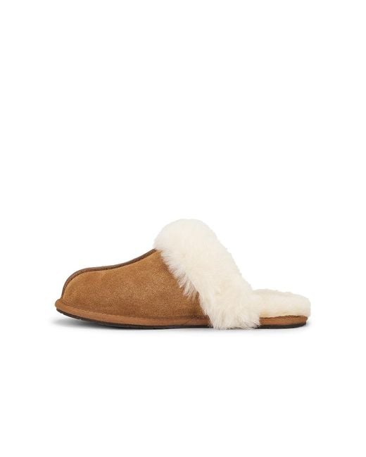 Ugg Brown Scuffette Ii Slipper