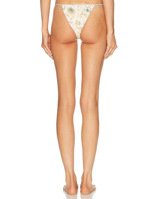 Sir Multicolor Cecile String Bikini Brief