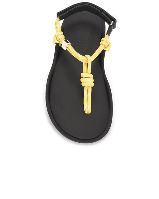 FLOWZE Multicolor Flo Sandal