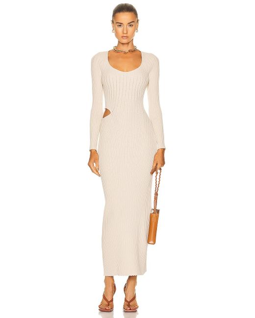 Aeron Synthetic Vivier Maxi Dress in 