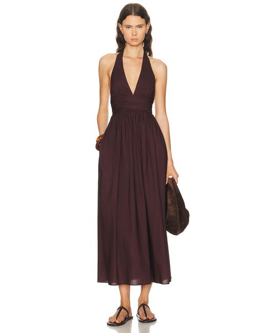 Matteau Women's Purple Plunge Halter Dress Matteau Women's Purple Plunge Halter Dress