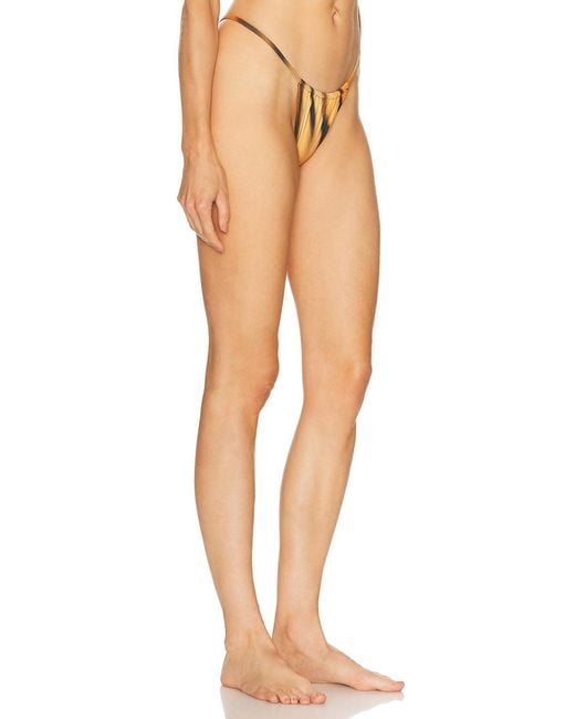 Skims Natural X Cavalli String Bikini Bottom
