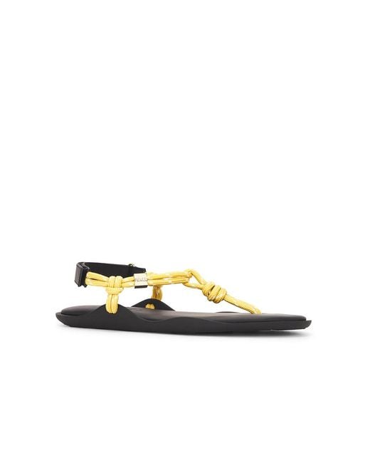 FLOWZE Multicolor Flo Sandal