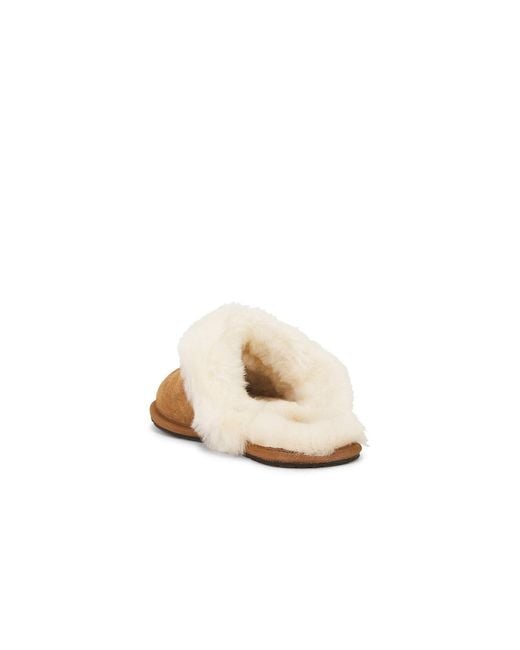 Ugg Brown Scuffette Ii Slipper