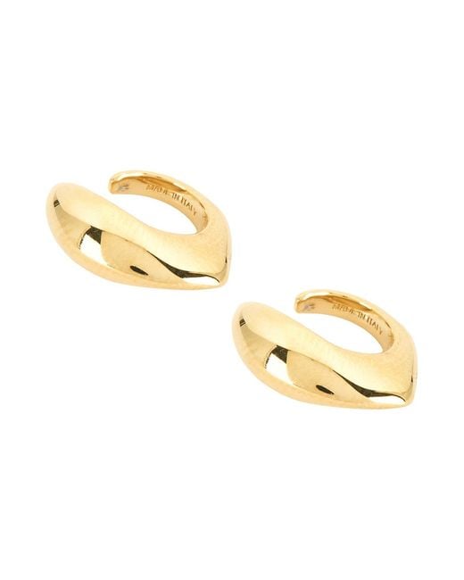 Givenchy Metallic Maple Seed Earcuff Set