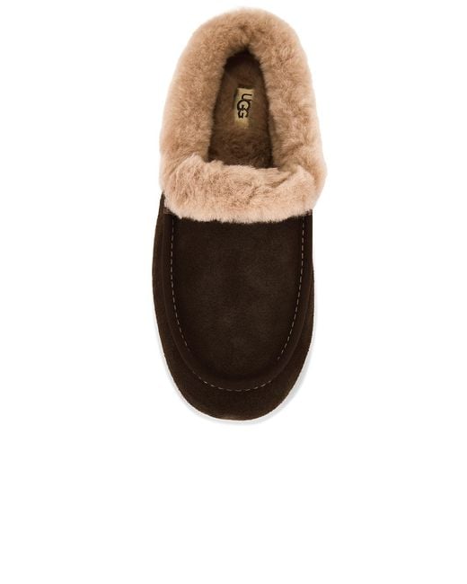 Ugg Brown Ansley Mule