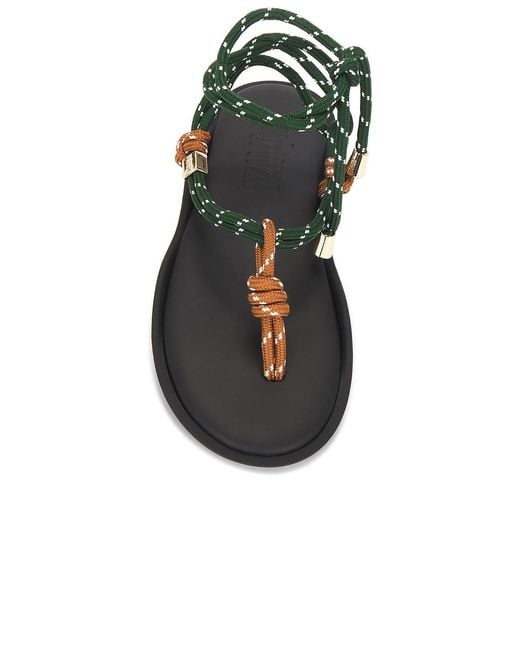FLOWZE Multicolor Flo Twin Sandal