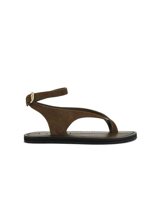 A.Emery Brown Millar Sandal