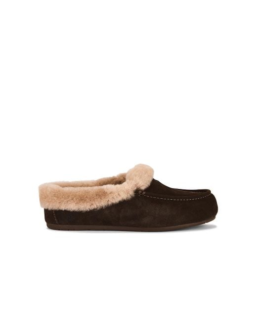 Ugg Brown Ansley Mule
