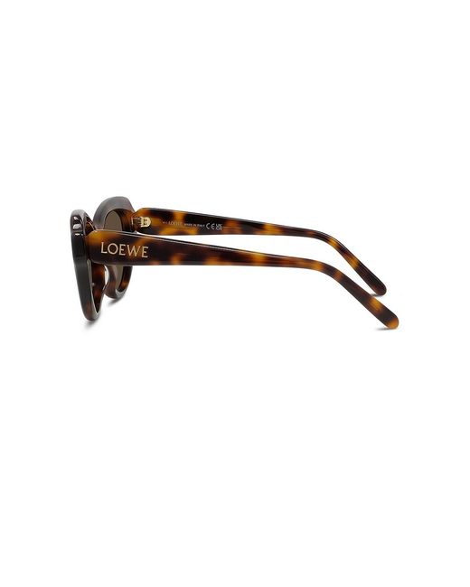 Loewe Brown Cat Eye Sunglasses