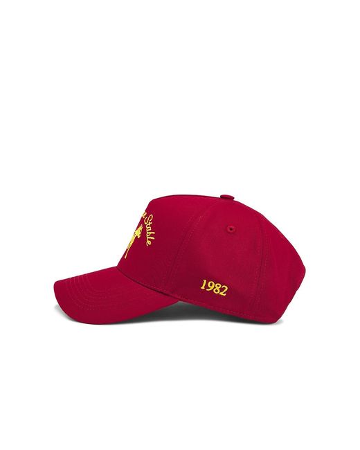 Siegelman Stable Red Hat