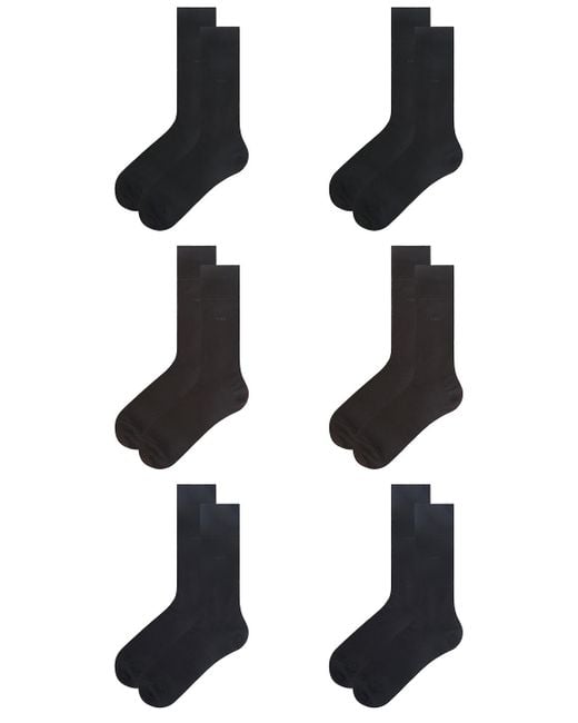 CDLP Black 6 X Cotton Socks for men