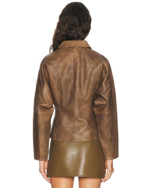 The Sei Brown Fitted Leather Jacket
