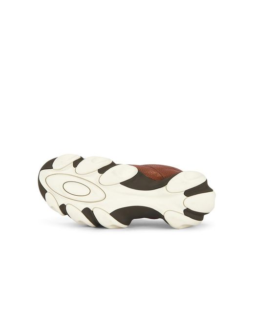 Oakley Brown Warp Sneaker