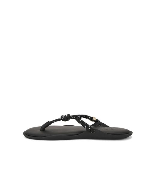 FLOWZE Black Flo Slide