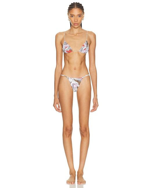 Ziah Multicolor Joa Bikini Bottom
