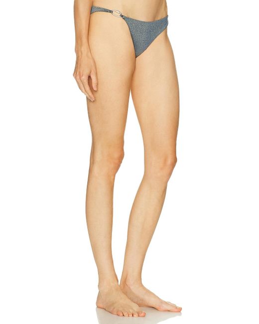 Ziah Multicolor Bravissimo Hardware Bikini Bottom