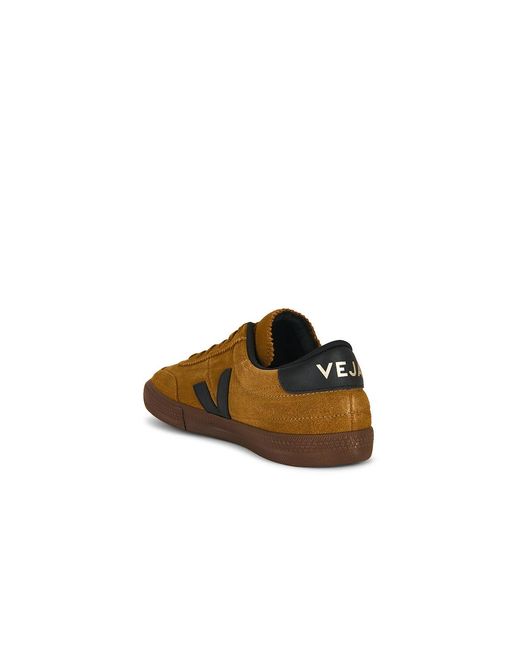 Veja Brown Panenka for men