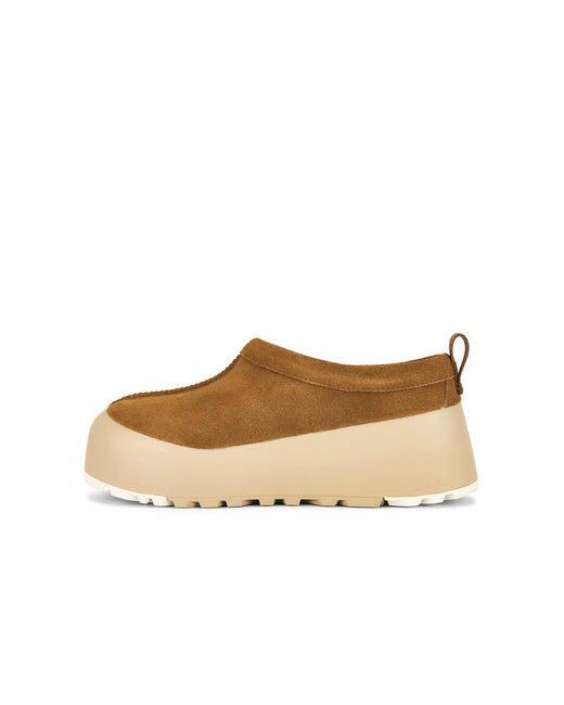 Ugg Brown Tasman Streetscape Slipper