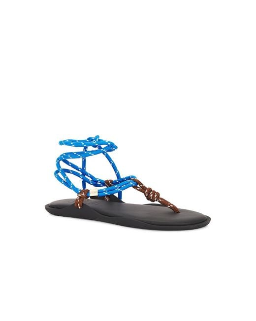 FLOWZE Blue Flo Twin Sandal