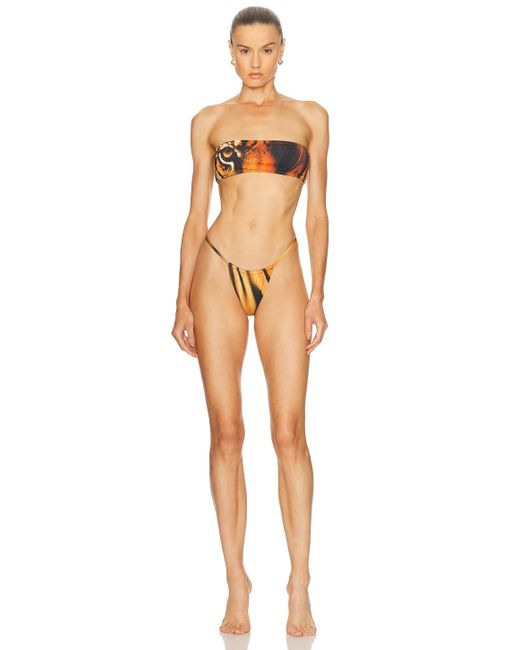 Skims Natural X Cavalli String Bikini Bottom