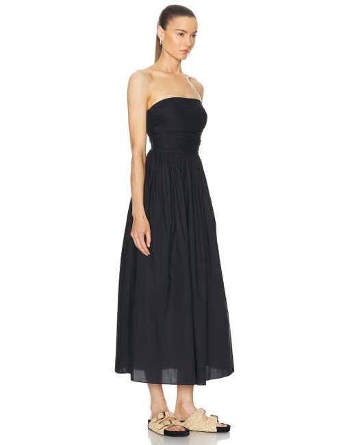 Matteau Black Strapless Lace Up Dress