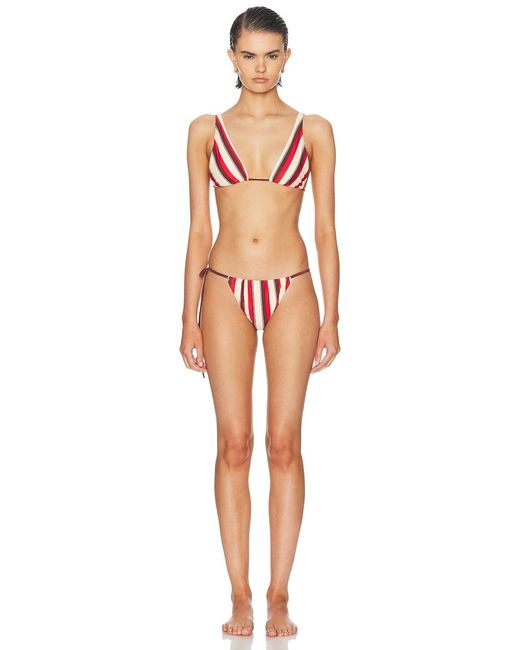 Sir Multicolor Alva String Bikini Brief
