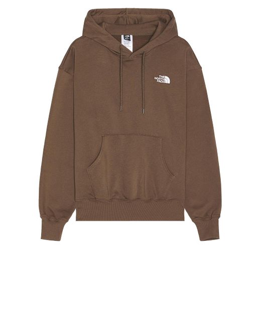 The North Face Brown Evolution Vintage Hoodie for men