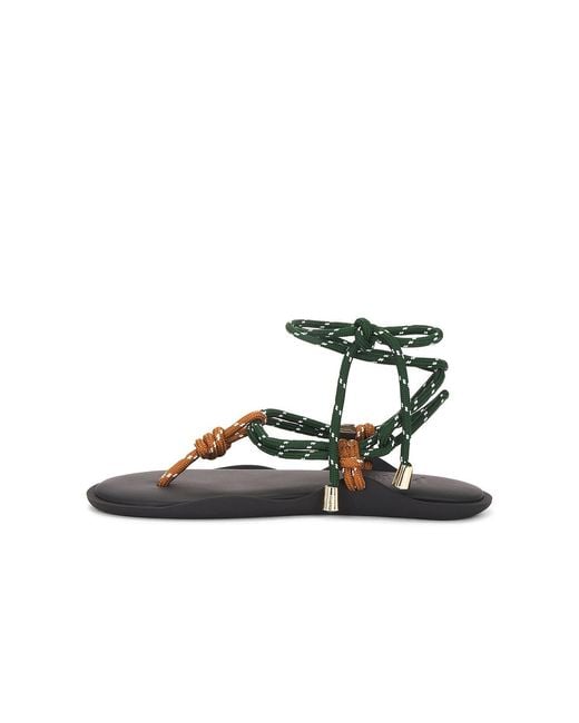 FLOWZE Multicolor Flo Twin Sandal