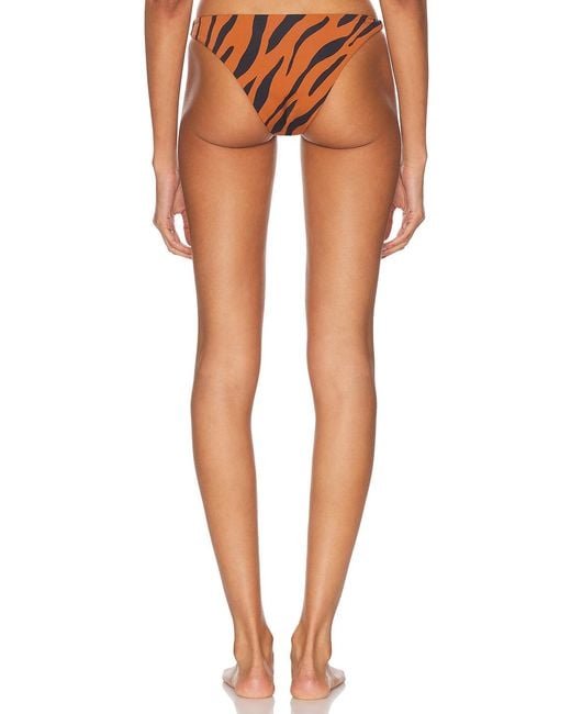 Ziah Multicolor Twisted Side Bikini Bottom