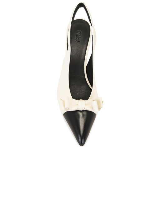 Chloé Multicolor Alba Slingback Heel