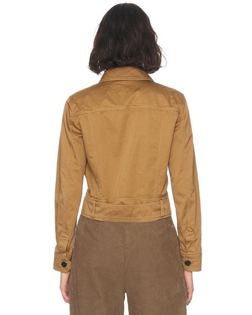 Saint Laurent Brown Cropped Belted Jacket