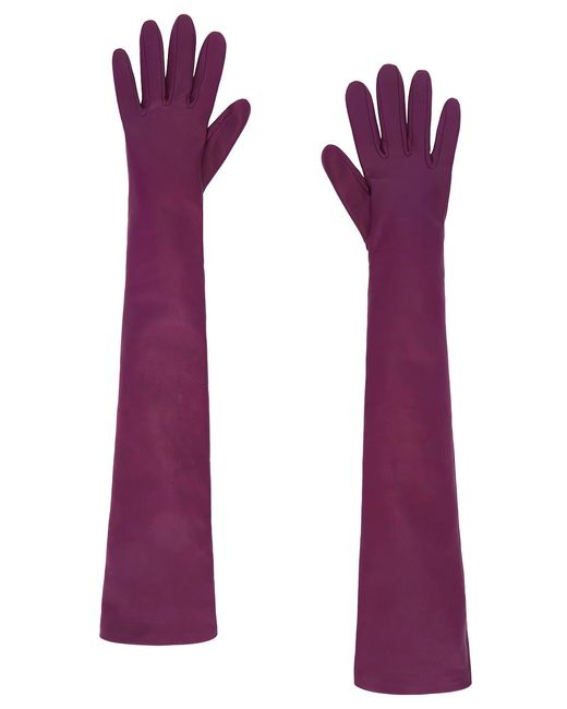 Balenciaga Purple Long Gloves